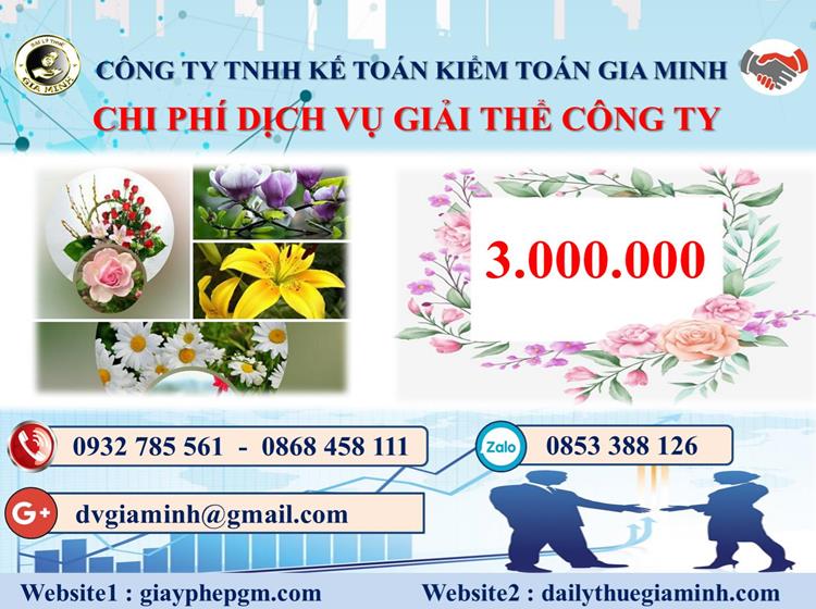  Chi phí dịch vụ giải thể công ty trọn gói ở Hà Giang