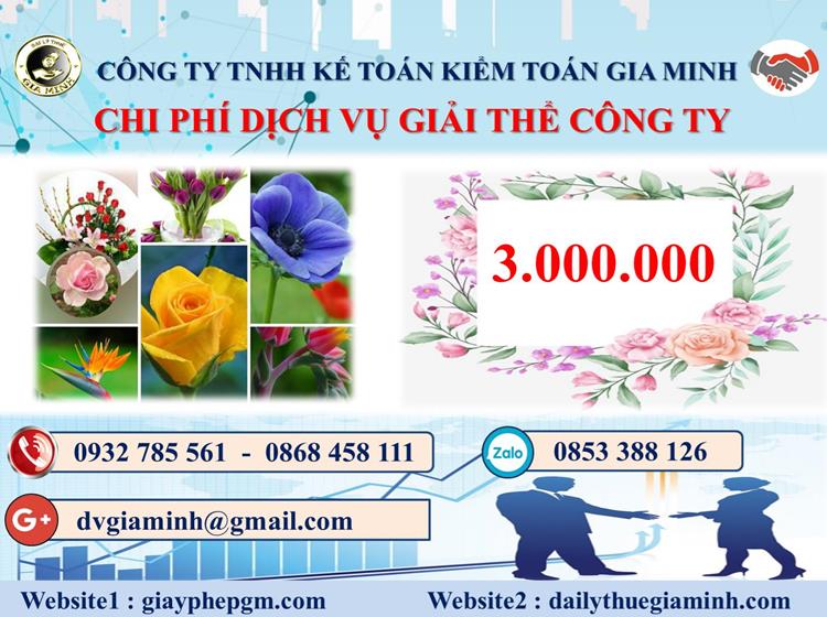  Chi phí dịch vụ giải thể công ty trọn gói ở Huyện Bình Chánh