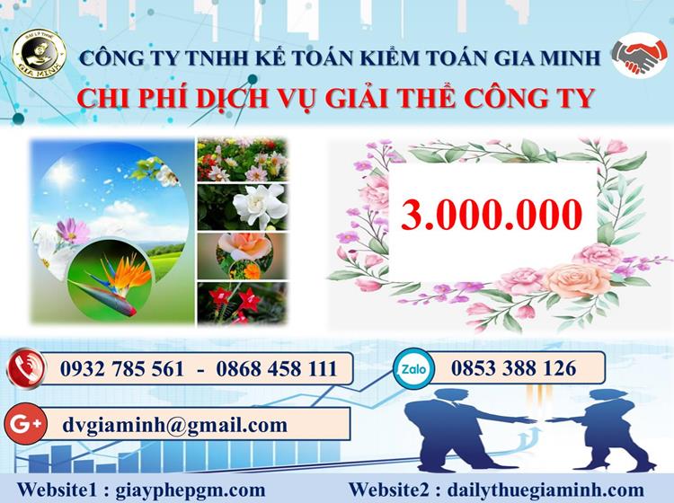 Chi phí dịch vụ giải thể công ty trọn gói ở Huyện Gia Lâm