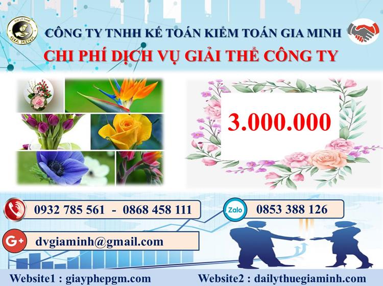  Chi phí dịch vụ giải thể công ty trọn gói ở Huyện Hoàng Sa