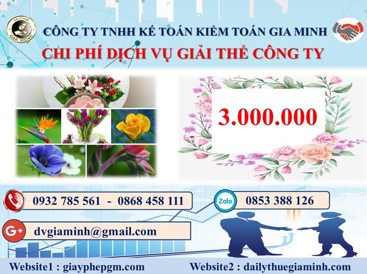  Chi phí dịch vụ giải thể công ty trọn gói ở Huyện Hóc Môn
