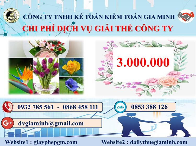  Chi phí dịch vụ giải thể công ty trọn gói ở Huyện Kiến Thụy