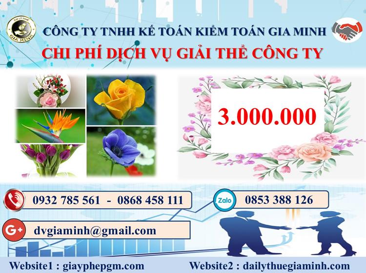 Chi phí dịch vụ giải thể công ty trọn gói ở Huyện Sóc Sơn