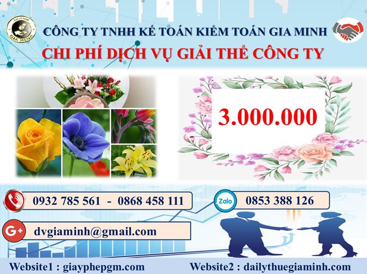  Chi phí dịch vụ giải thể công ty trọn gói ở Huyện Tiên Lãng