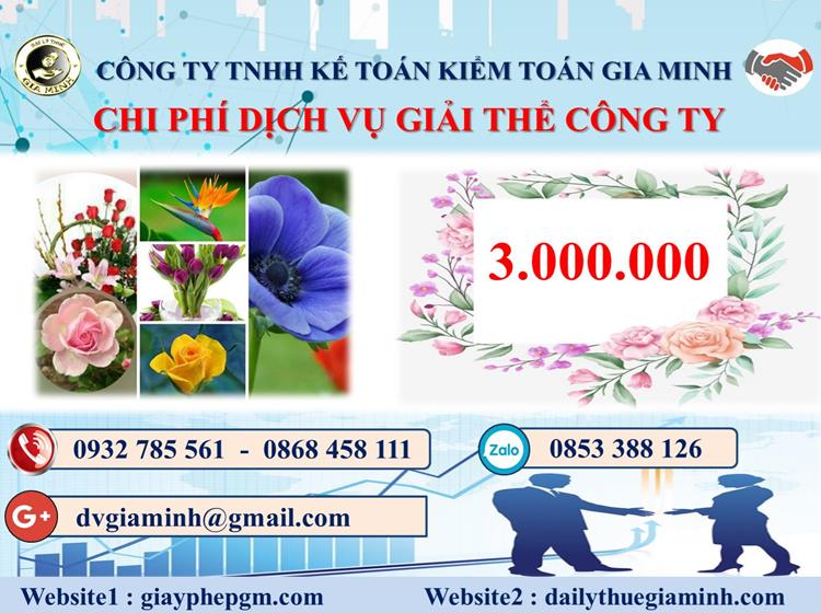 Chi phí dịch vụ giải thể công ty trọn gói ở Huyện Vĩnh Thạnh