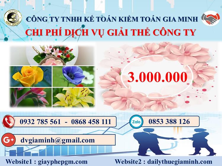  Chi phí dịch vụ giải thể công ty trọn gói ở Ninh Bình