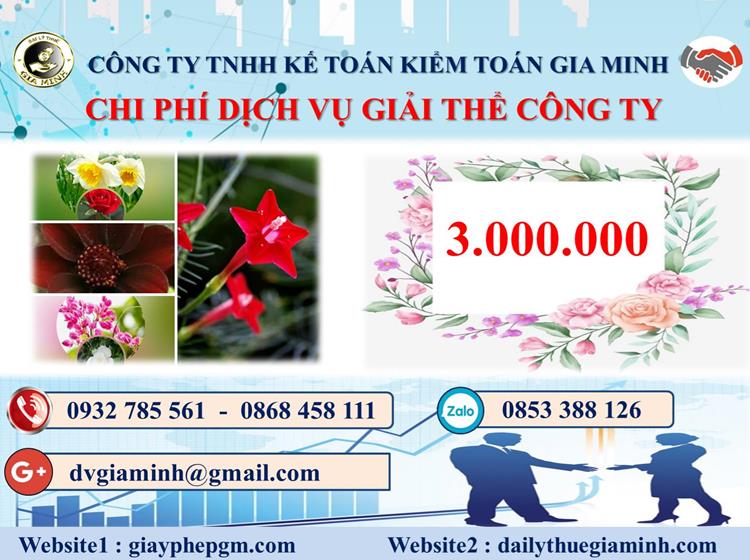 Chi phí dịch vụ giải thể công ty trọn gói ở Quận Gò Vấp