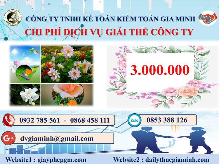  Chi phí dịch vụ giải thể công ty trọn gói ở Quận Tân Phú