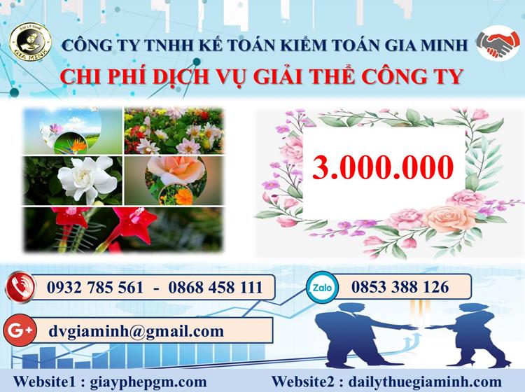  Chi phí dịch vụ giải thể công ty trọn gói ở Thành Phố Hồ Chí Minh