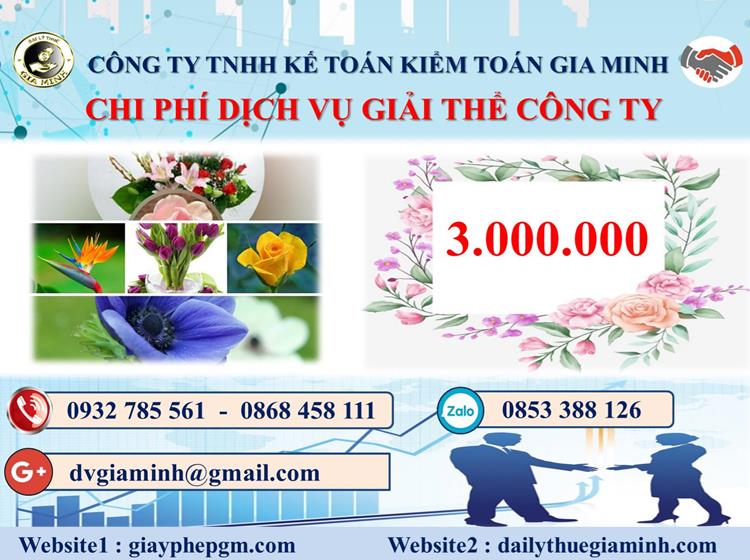  Chi phí dịch vụ giải thể công ty trọn gói ở Tiền Giang