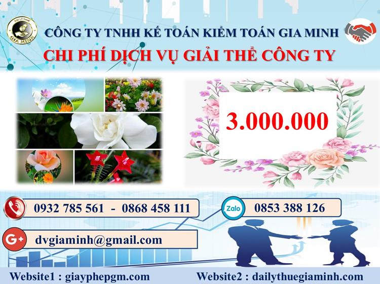  Chi phí dịch vụ giải thể công ty trọn gói ở TP Hồ Chí Minh