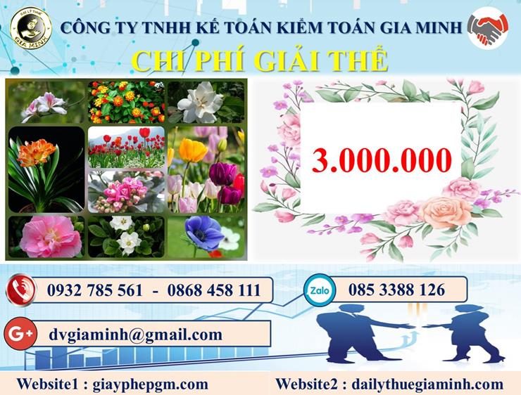 Chi phí dịch vụ giải thể công ty trọn gói tại Bình Định