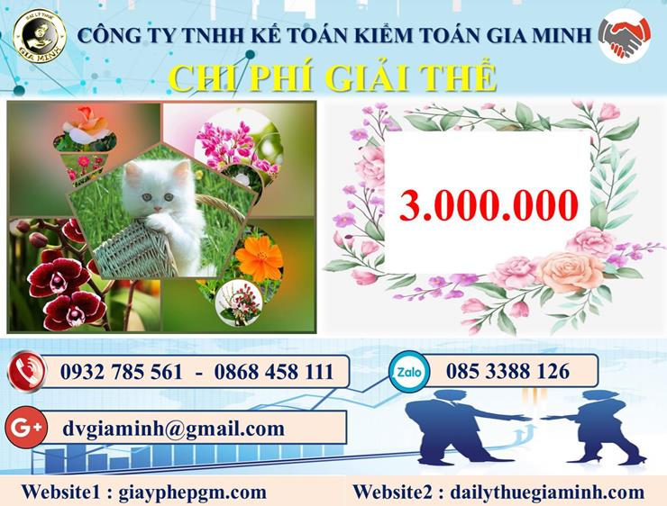 Chi phí dịch vụ giải thể công ty trọn gói tại Hà Giang