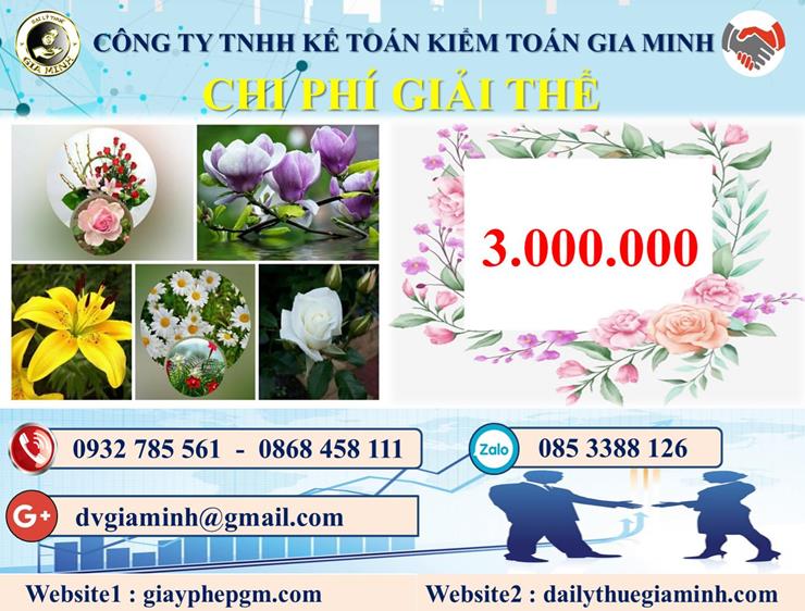 Chi phí dịch vụ giải thể công ty trọn gói tại Huyện Tiên Lãng