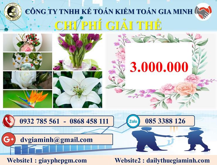 Chi phí dịch vụ giải thể công ty trọn gói tại Kiên Giang