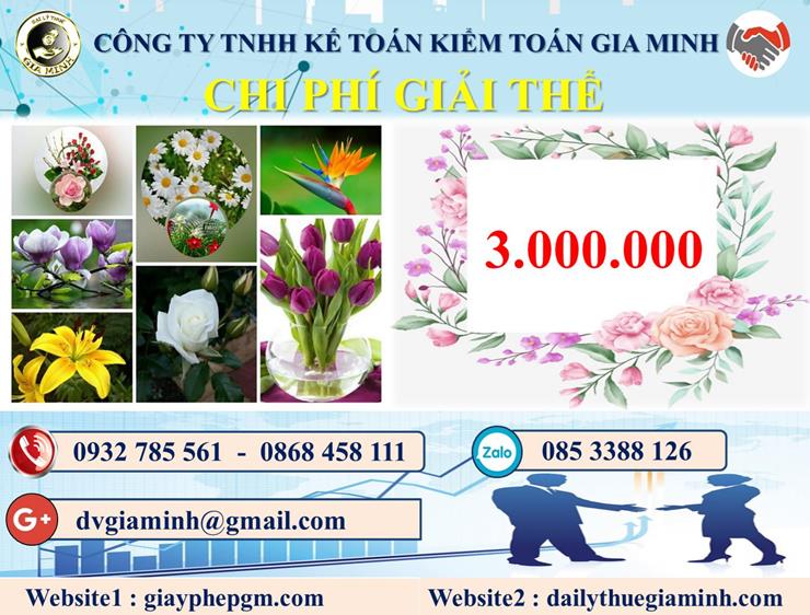 Chi phí dịch vụ giải thể công ty trọn gói tại Lâm Đồng