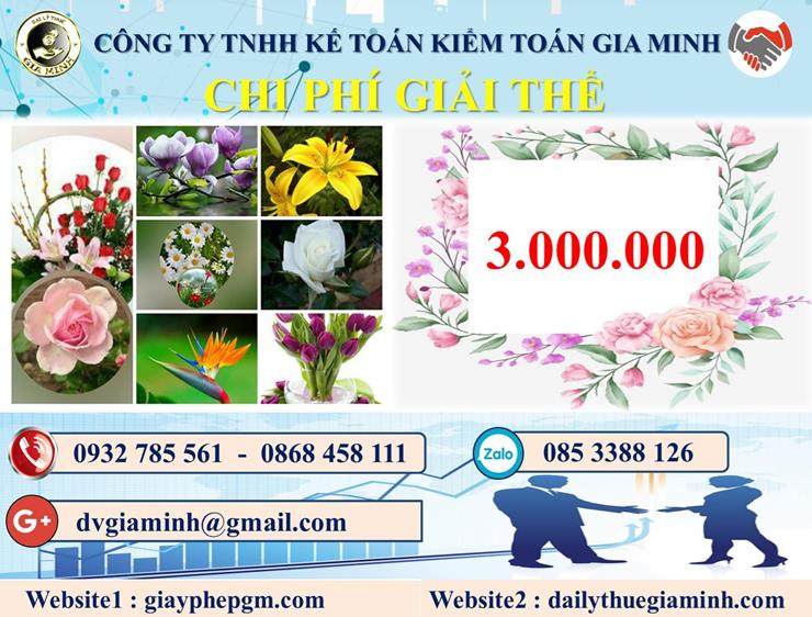 Chi phí dịch vụ giải thể công ty trọn gói tại Nam Định