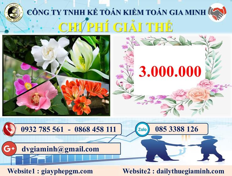 Chi phí dịch vụ giải thể công ty trọn gói tại Ninh Bình