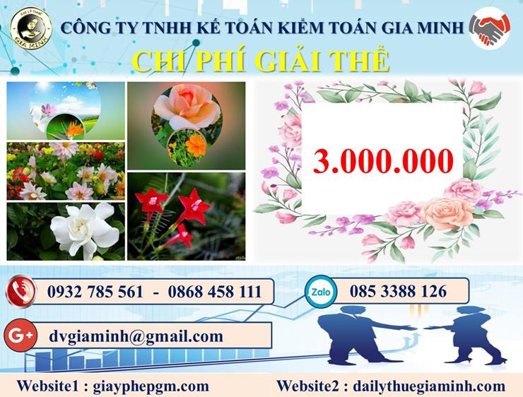 Chi phí dịch vụ giải thể công ty trọn gói tại Ninh Thuận