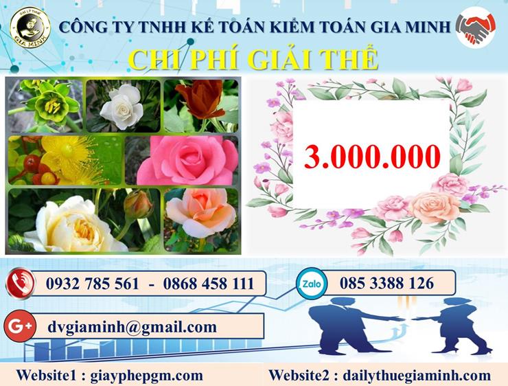 Chi phí dịch vụ giải thể công ty trọn gói tại Quận Kiến An
