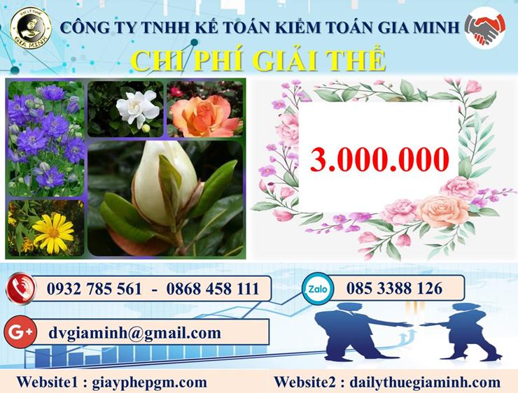Chi phí dịch vụ giải thể công ty trọn gói tại Quảng Trị