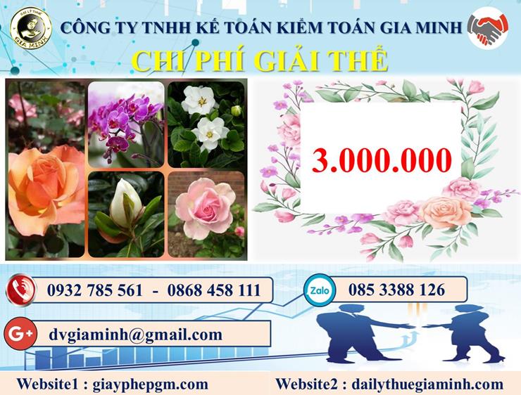 Chi phí dịch vụ giải thể công ty trọn gói tại Tây Ninh