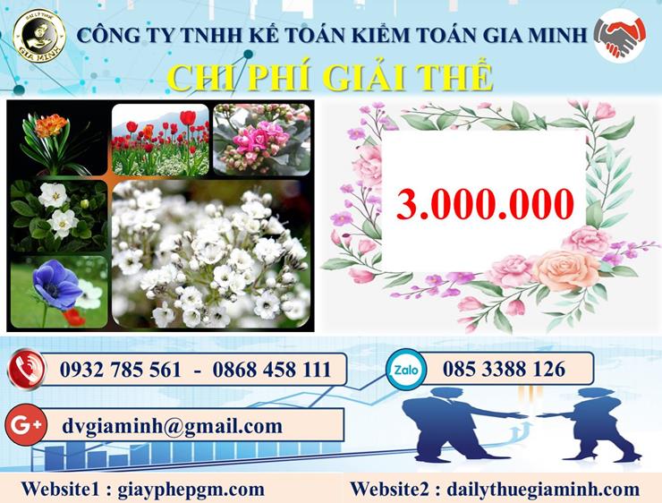 Chi phí dịch vụ giải thể công ty trọn gói tại Tuyên Quang