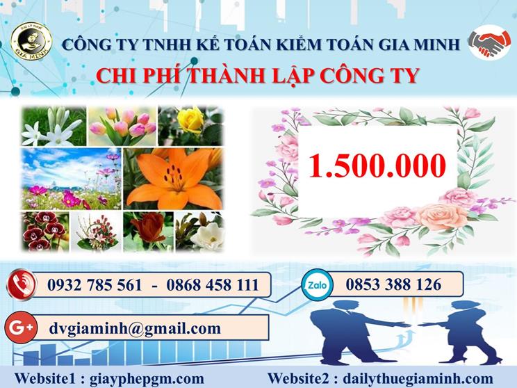 Chi phí dịch vụ thành lập công ty trọn gói tại Bình Định