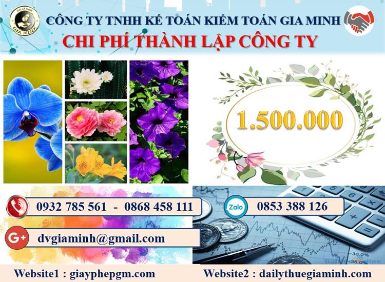 Chi phí dịch vụ thành lập doanh nghiệp tại Bình ĐịnhChi phí dịch vụ thành lập doanh nghiệp tại Bình Định