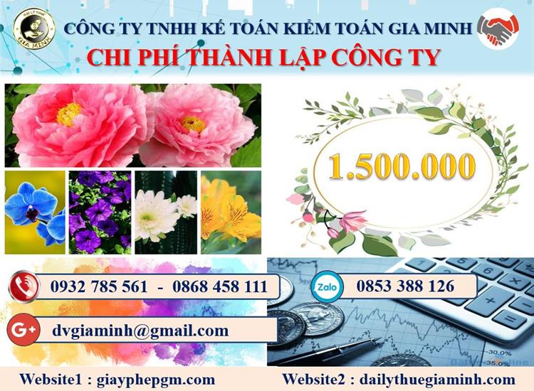 Chi phí dịch vụ thành lập doanh nghiệp tại Nam Định