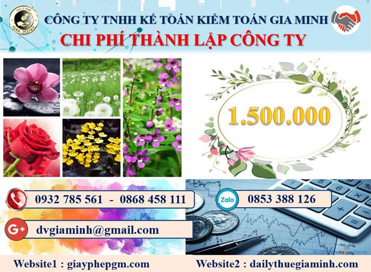 Chi phí dịch vụ thành lập doanh nghiệp tại Quận Gò Vấp