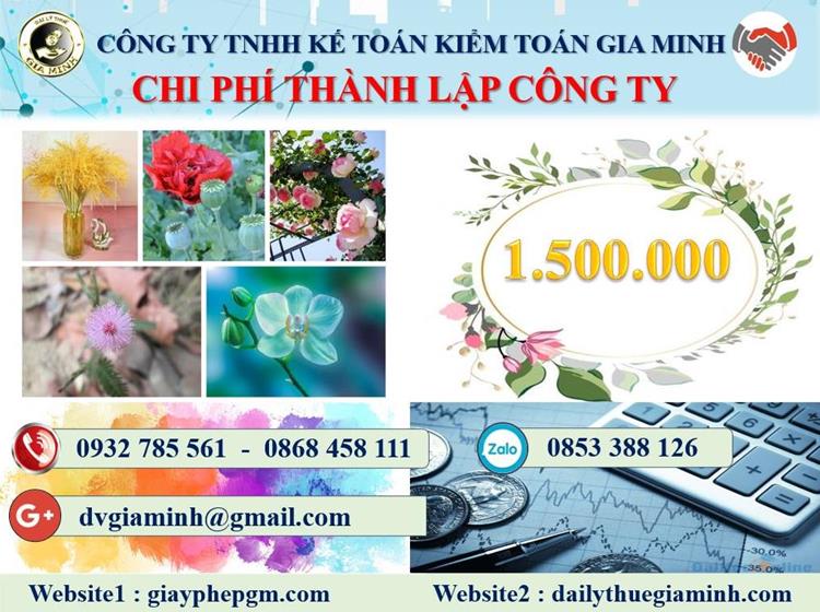 Chi phí thành lập công ty bán buôn phân bón tại Bình Định