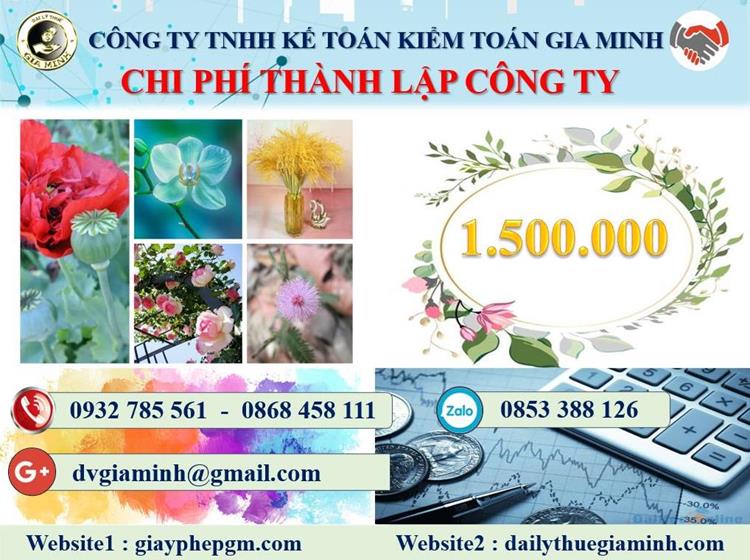 Chi phí thành lập công ty bán buôn phân bón tại Bình Thuận