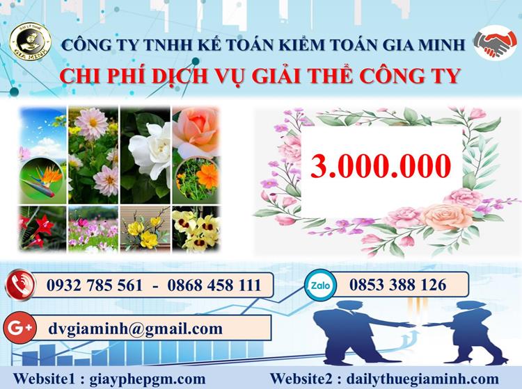 Chi phí thủ tục giải thể công ty tại Bình Định