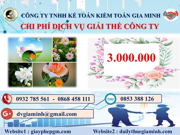 Chi phí thủ tục giải thể công ty tại Huyện Bình Chánh