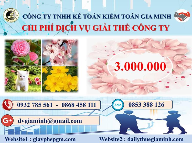 Chi phí thủ tục giải thể công ty tại Huyện Mê Linh