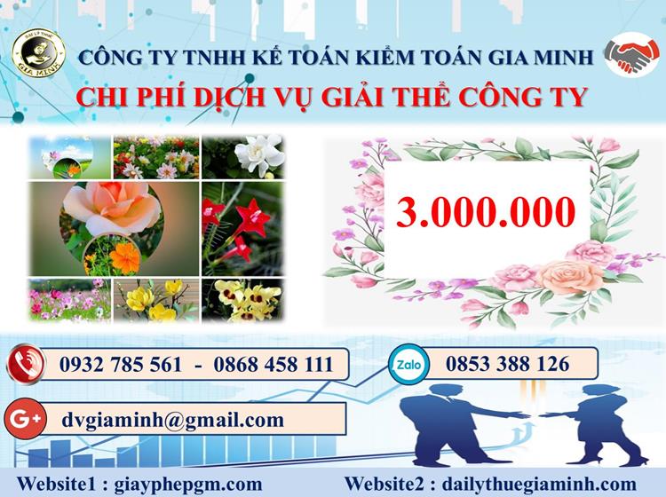 Chi phí thủ tục giải thể công ty tại Huyện Sóc Sơn