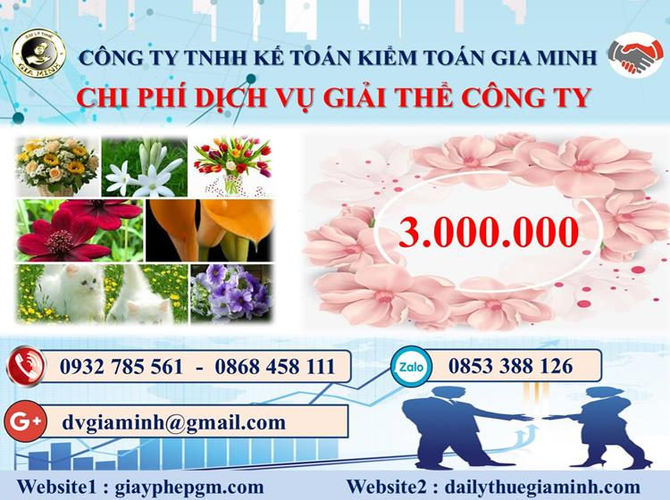 Chi phí thủ tục giải thể công ty tại Huyện Tiên Lãng
