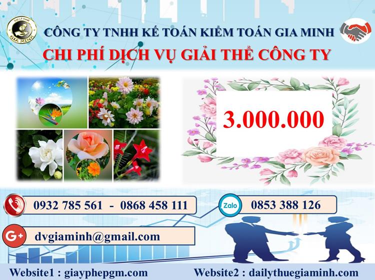 Chi phí thủ tục giải thể công ty tại Nam Định