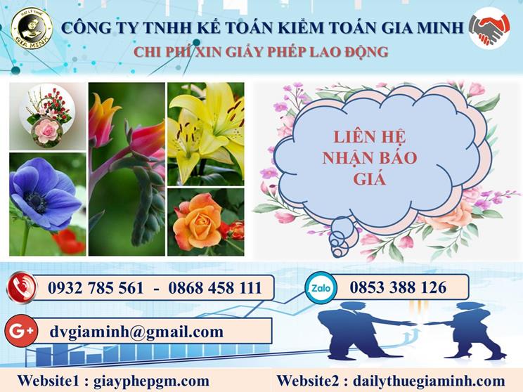 Chi phí xin giấy phép lao động tại Thị Xã Thuận An