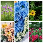 Cần dịch vụ thành lập doanh nghiệp tại Bắc Kạn