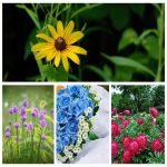 Cần dịch vụ thành lập doanh nghiệp tại Bình Dương