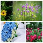 Cần dịch vụ thành lập doanh nghiệp tại Huyện Chương Mỹ