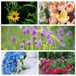 Cần dịch vụ thành lập doanh nghiệp tại Quảng Nam