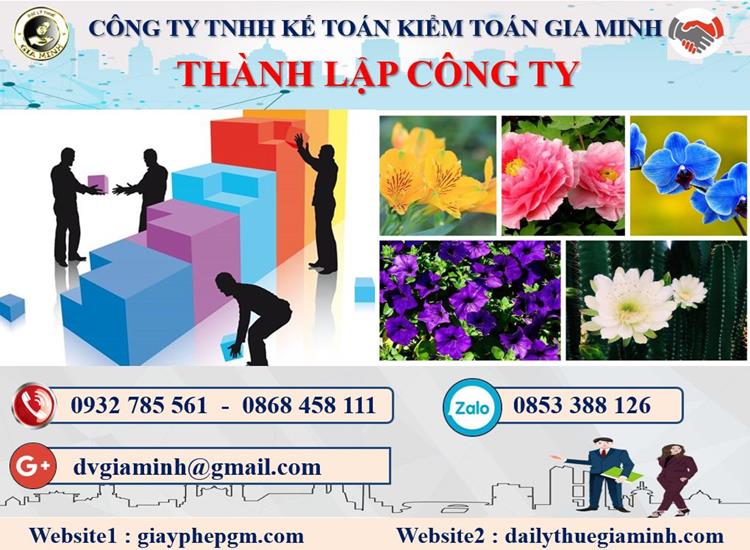 Dịch vụ thành lập doanh nghiệp tại Huyện Mê Linh