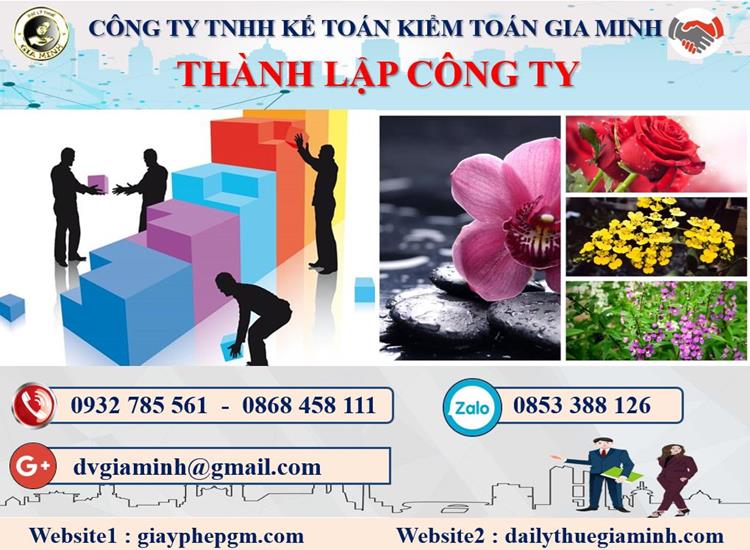 Dịch vụ thành lập doanh nghiệp tại Kiên Giang
