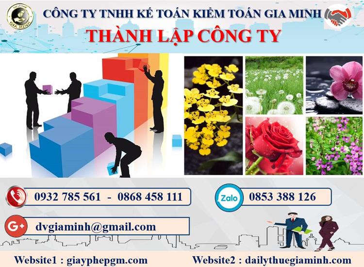 Dịch vụ thành lập doanh nghiệp tại Nam Định
