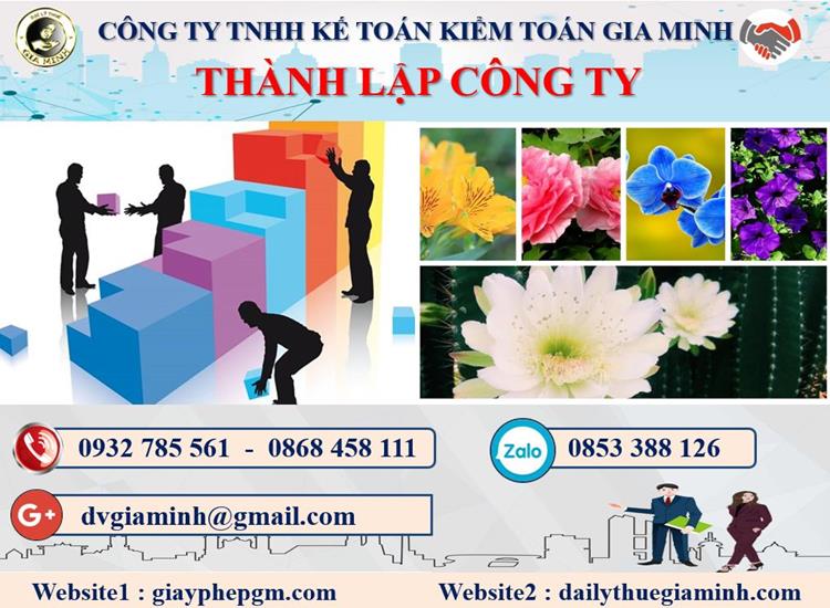 Dịch vụ thành lập doanh nghiệp tại Nha Trang