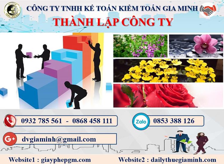 Dịch vụ thành lập doanh nghiệp tại Quận Tân Phú