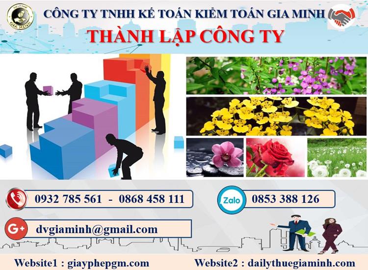 Dịch vụ thành lập doanh nghiệp tại TP Đà Nẵng
